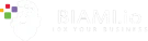 BIAMI.io: 10X your business